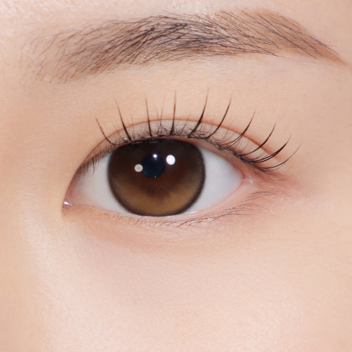 Secretive Kristin Plus (13.8mm) Monthly Brown – eotd