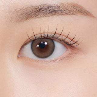 A To Z Kristin (12.4mm) 1Day Brown - eotd