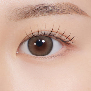 A To Z Kristin (13.9mm) 1Day Brown - eotd