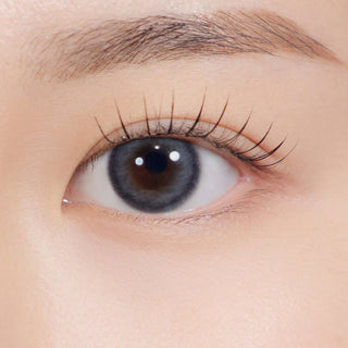 Adorable Kristin 1Day Gray - eotd