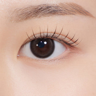 Bean Kristin 1Day Mini Drip Brown - eotd