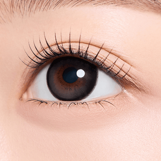 Bear Boo 1Day Dutch Black - eotd