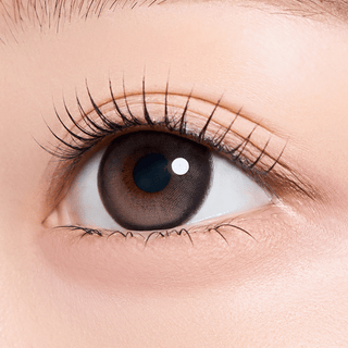 Bear Boo 1Day Honey Choco - eotd