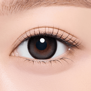 Bear Boo Monthly Dutch Black - eotd
