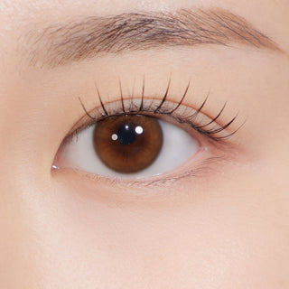 Bittersweet Kristin 1Day Mini Amber Brown - eotd