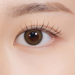 Bittersweet Kristin 1Day Olive Brown - eotd