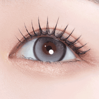 Biv Venti Weighted 1Day Charcoal - eotd