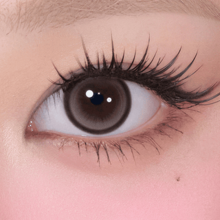 Cat - titude Kristin 1Day Choco Paw - eotd