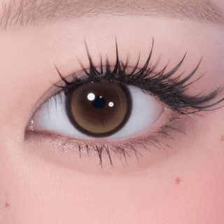 Cat - titude Kristin 1Day Tabby Brown - eotd