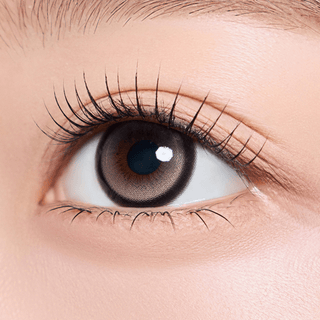 Cat - titude Kristin Monthly Choco Paw - eotd