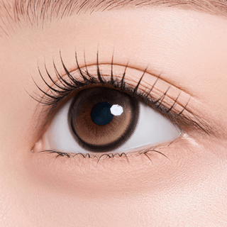 Cat - titude Kristin Monthly Tabby Brown - eotd