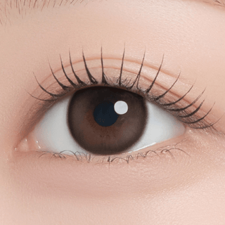 Chippy-co 1Day Chipchip Brown - eotd