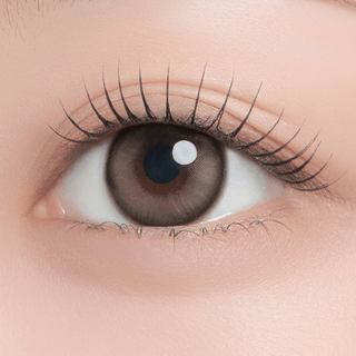 Chippy-co 1Day Guinea Brown - eotd