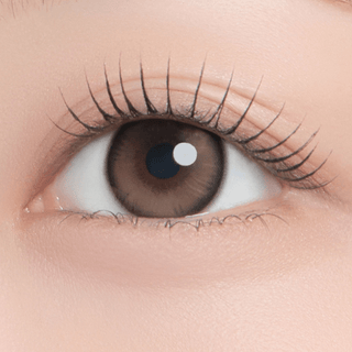 Chippy-co 1Day Nutnut Brown - eotd