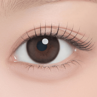 Chippy-co Monthly Chipchip Brown - eotd