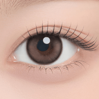 Chippy-co Monthly Guinea Brown - eotd