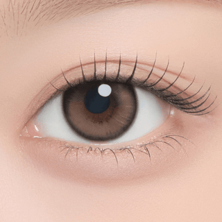Chippy-co Monthly Nutnut Brown - eotd