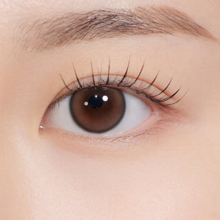 Cosmo Kristin 1Day Brown - eotd