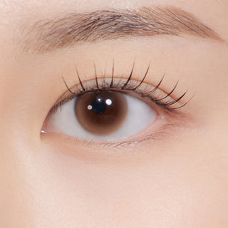 Dewy Kristin Basic (12.0mm) Monthly Brown - eotd