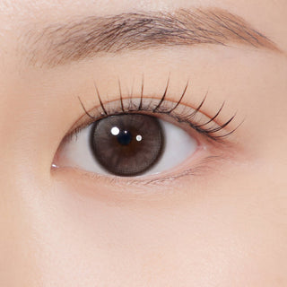 Dolly Kristin 1Day Choco - eotd