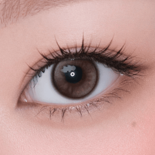 Dolly Kristin 1Day Choco - eotd