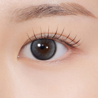 Dolly Kristin 1Day Gray - eotd