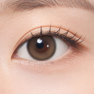 Hecate 1Day Ginger Brown
