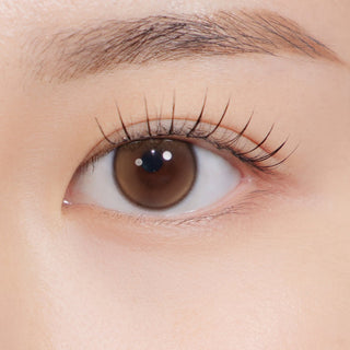 First Love Kristin Monthly Brown - eotd