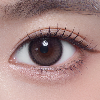 Hecate Monthly Classic Mocha