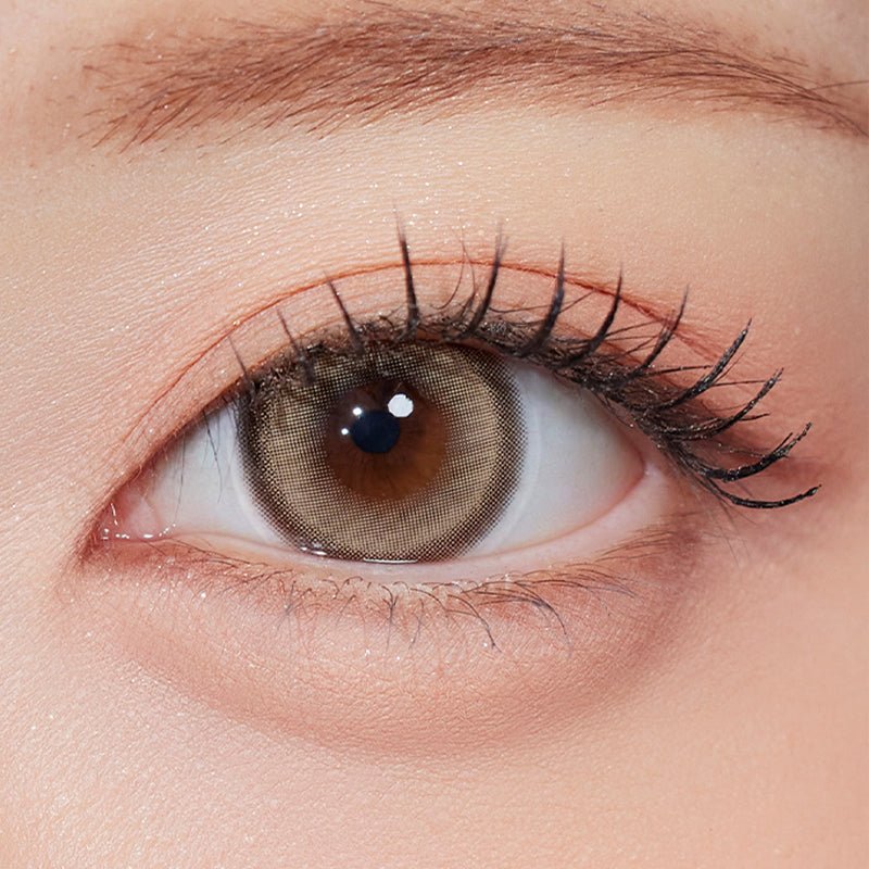 Glint 1Day Brown - eotd