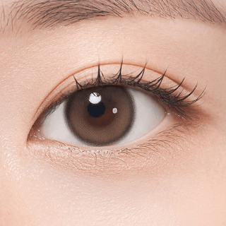 Hecate 1Day Ginger Brown - eotd