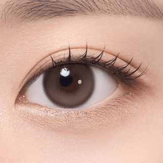 Hecate 1Day Sand Brown - eotd