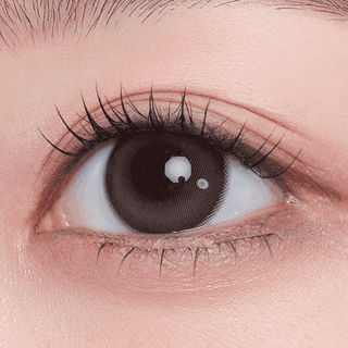 Milk & Tea 13.8 Monthly Cream Choco - eotd