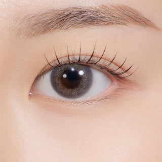 OMG Kristin 1Day Gray - eotd