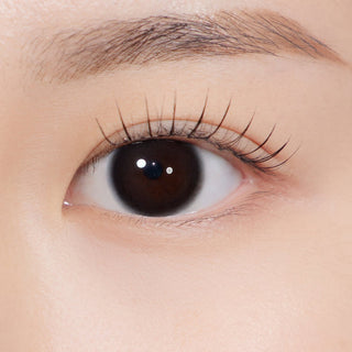 Quiet Kristin 1Day Glow Black - eotd