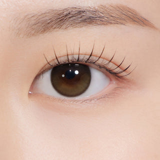 Secretive Kristin 1Day Creme brown - eotd