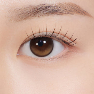 Secretive Kristin Monthly Brown - eotd