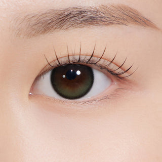 Secretive Kristin Plus (13.5mm) 1Day Olive - eotd