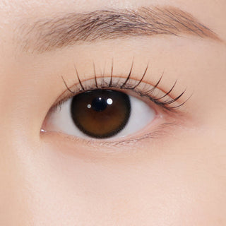 Secretive Kristin Plus (13.5mm) Monthly Black - eotd