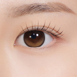 Secretive Kristin Plus (13.8mm) Monthly Brown - eotd