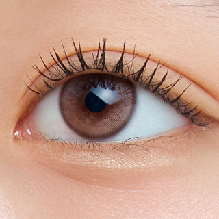 Wake Up Kristin Mini 1Day Dawn Brown - eotd