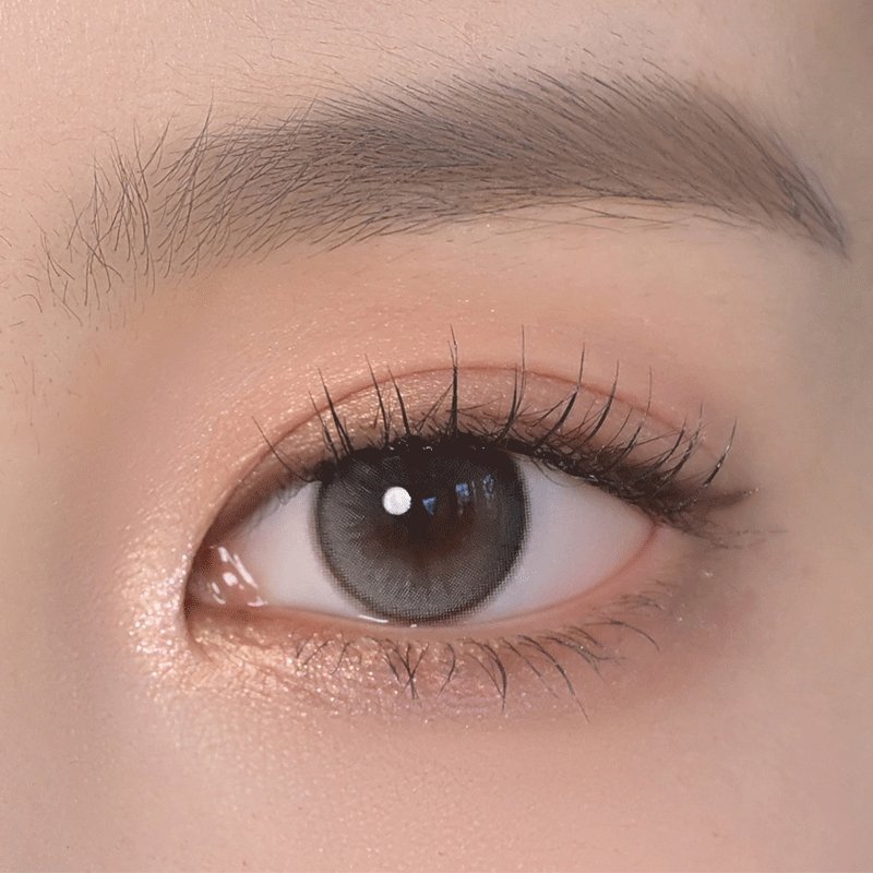Daisy Shower 1Day Pure Gray - eotd