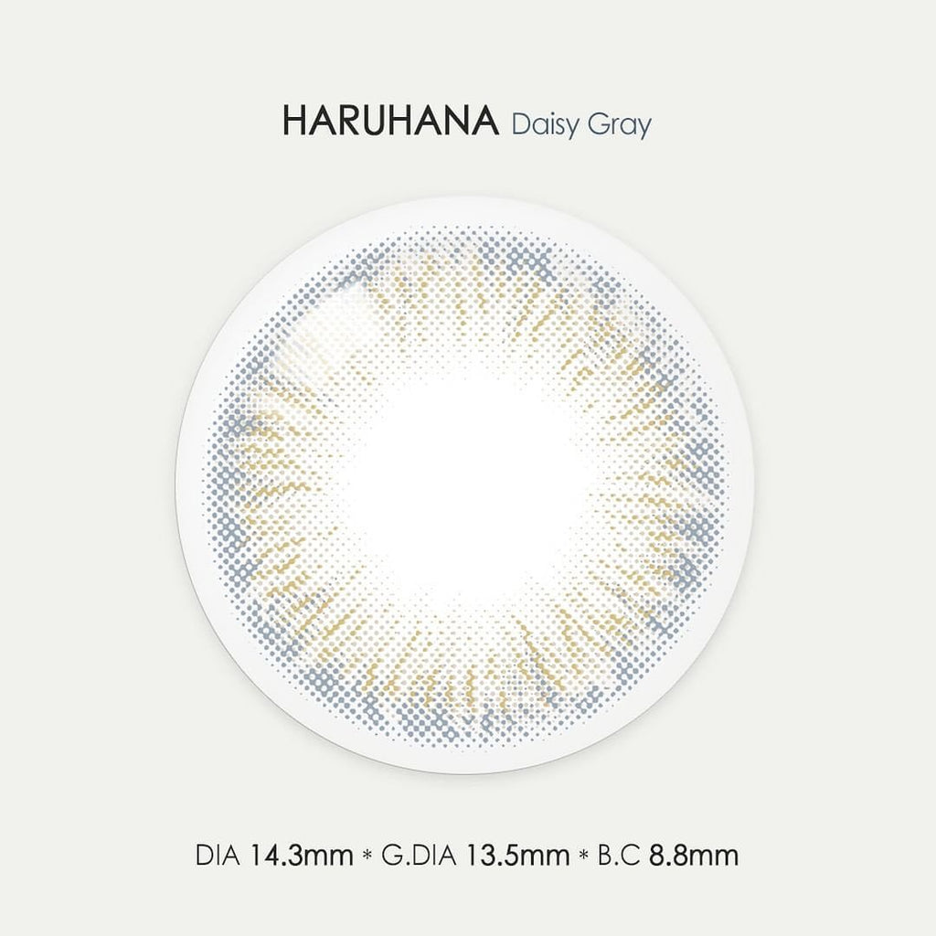 HARUHANA daisy gray - eotd