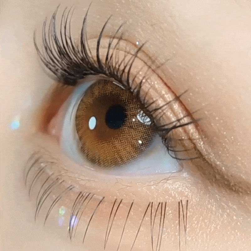 Heiress Monthly Brown - eotd