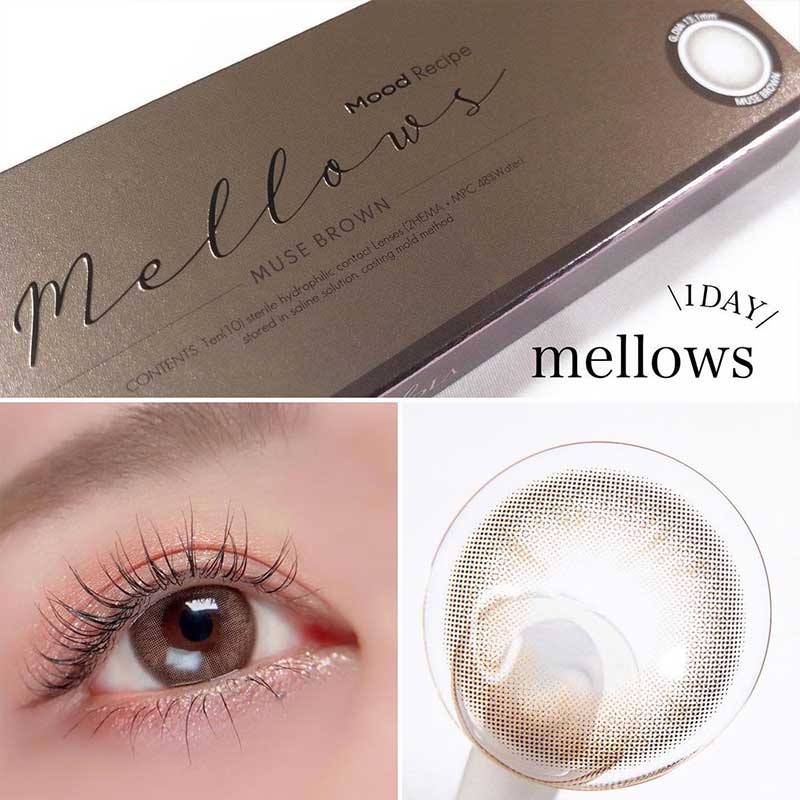 Mellows 1Day Muse Brown - eotd