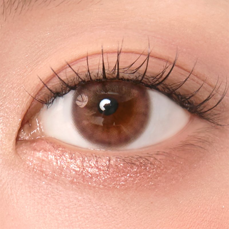 New Cloud Pudding 1Day Pink Brown - eotd