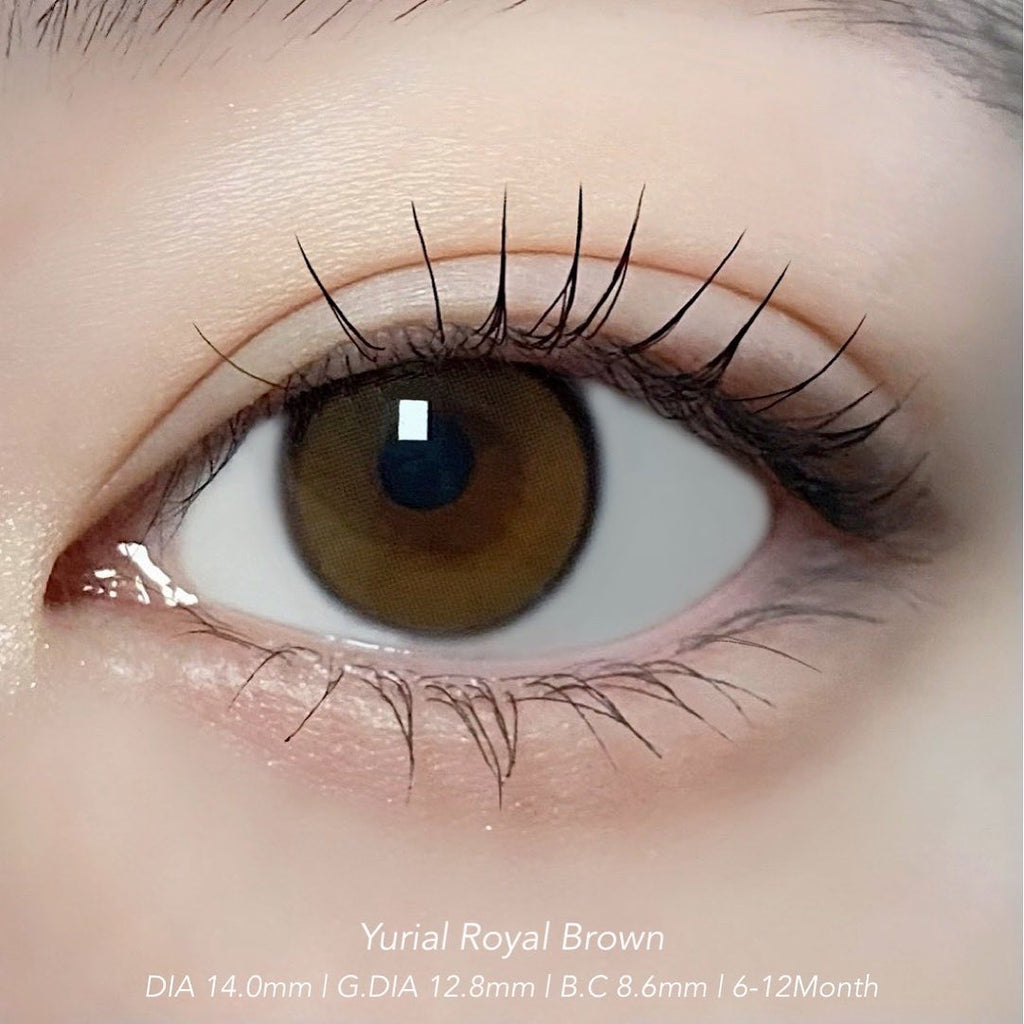 YURIAL Royal Brown - eotd