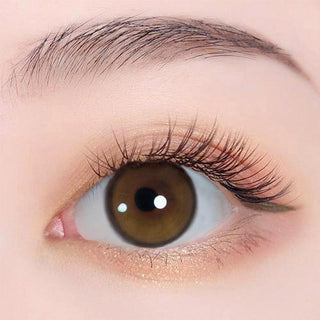 YURIAL Water Brown - eotd